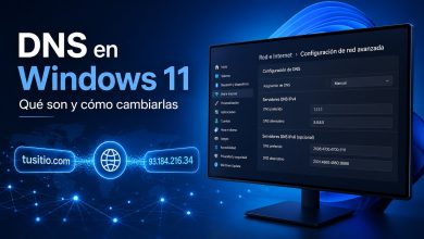 Configuración de DNS en Windows 11 con ejemplo de cambio de servidores DNS